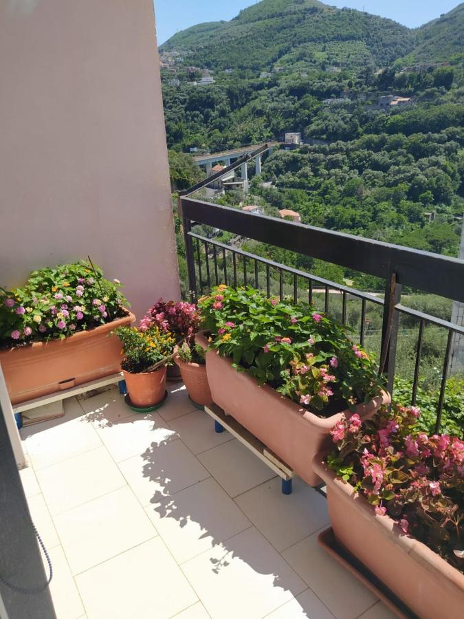 B&B Antonietta Vico Equense Exterior foto